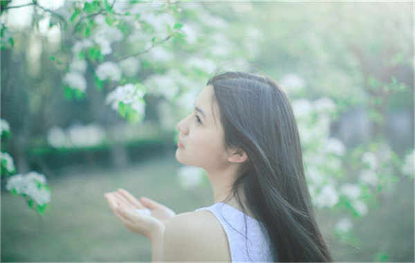 昌洒镇验血查男女几周可以验(验血查男女结果图)
